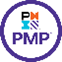 PMP Logo